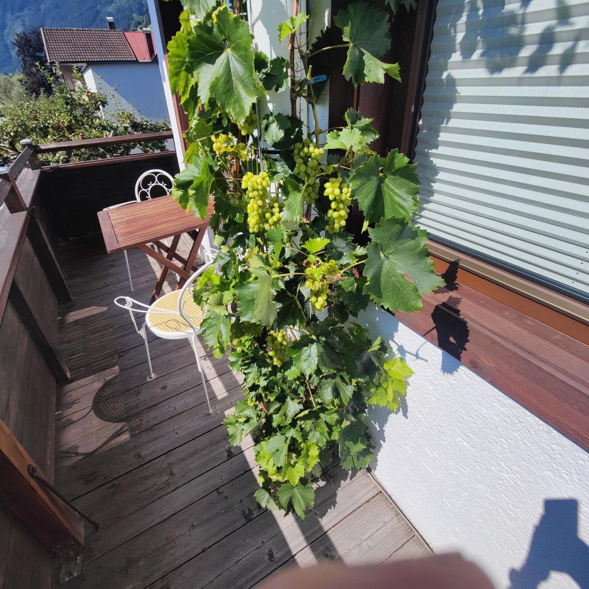 Apartment Reiter Zellbergeben Buitenkant foto